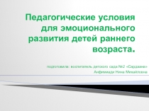 Презентация опыта Педагогические условия для эмоционального развития детей раннего возраста