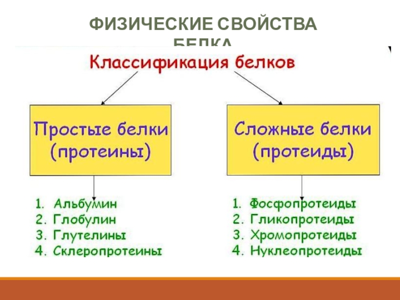 Свойства белка кратко. Физические свойства белков. Белки физические свойства. Белки физ свойства. Белки физические свойства химия.