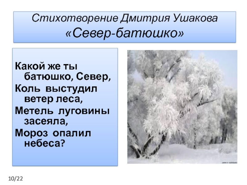 Стихотворения дмитрия. Стихотворение про Ушакова. Стихотворение про метель. Стихотворение про Дмитрия.