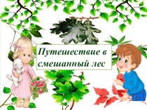 Презентация по окружающему миру Путешествие в смешанный лес