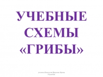 Учебные схемы по биологии Грибы