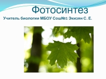 Презентация по биологии на тему Фотосинтез
