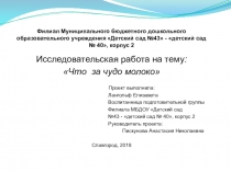 Разработка и реализация проекта Домашнее молоко