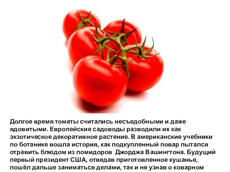Почему томаты. Помидоры считались ядовитыми. Ядовитый помидор. Томат считали ядовитым. Яды для помидор.