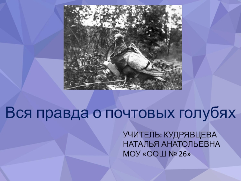 Презентация по экологии Вся правда о почтовых голубях, 8 класс