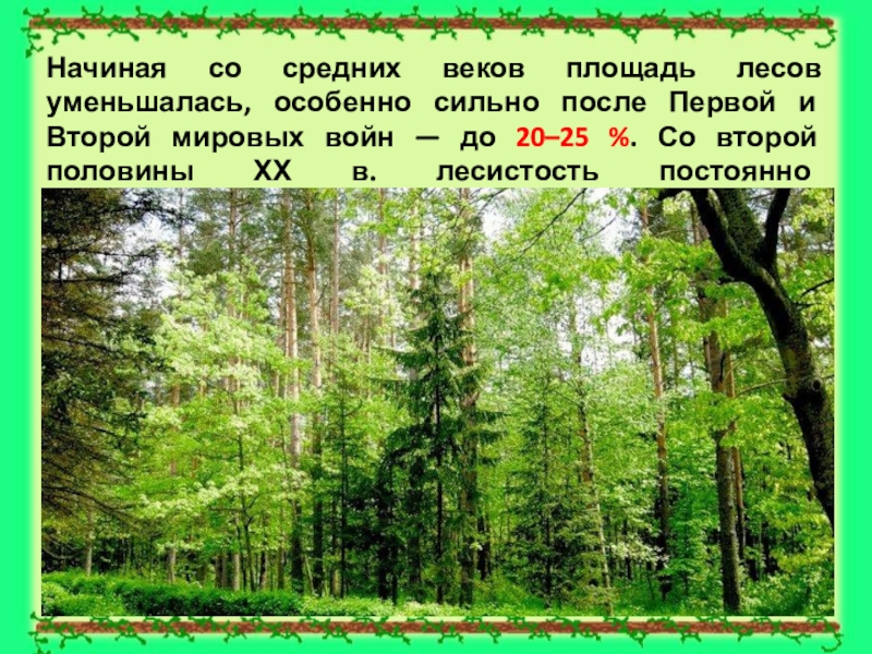 Доклад: Вторичные леса таежной зоны Европейской России