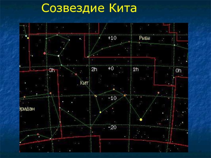 Созвездие кита схема