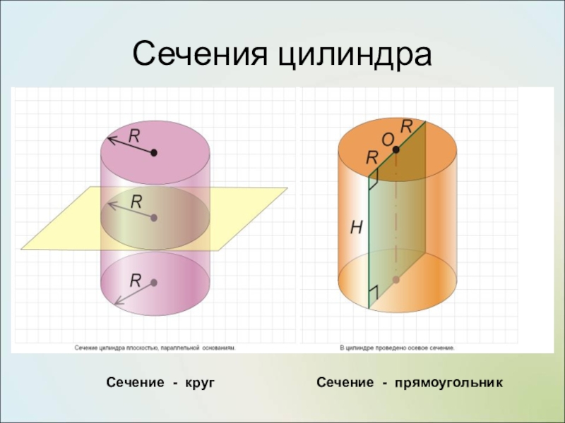 Сечение круга. Сечение цилиндра. Плоские сечения цилиндра. Сечение цилиндра круг. Сечение цилиндра прямоугольник.