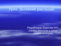 Презентация к уроку биологии 6 класс по теме Дыхание