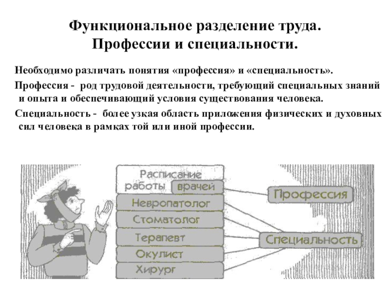 Условия труда профессий. Функциональное Разделение труда. Профессии функциональной специализации. Профессии с разделением труда. Функциональная специализация примеры профессий.