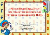 Развивающая среда по правилам дорожного движения в ДОУ