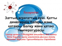 Физика пәнінен 8 сыныпқа арналған Заттың агрегаттық күйі. Қатты денелердің балқуы және қатаюы. Балқу және қатаю температурасы