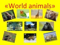 Презентация по английскому языку к уроку World animals