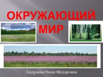 Презентация по окружающему миру к Уроку Луг 3 класс ПНШ