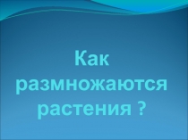 Презентация по природоведению на тему  Как размножаются растения (5 класс)
