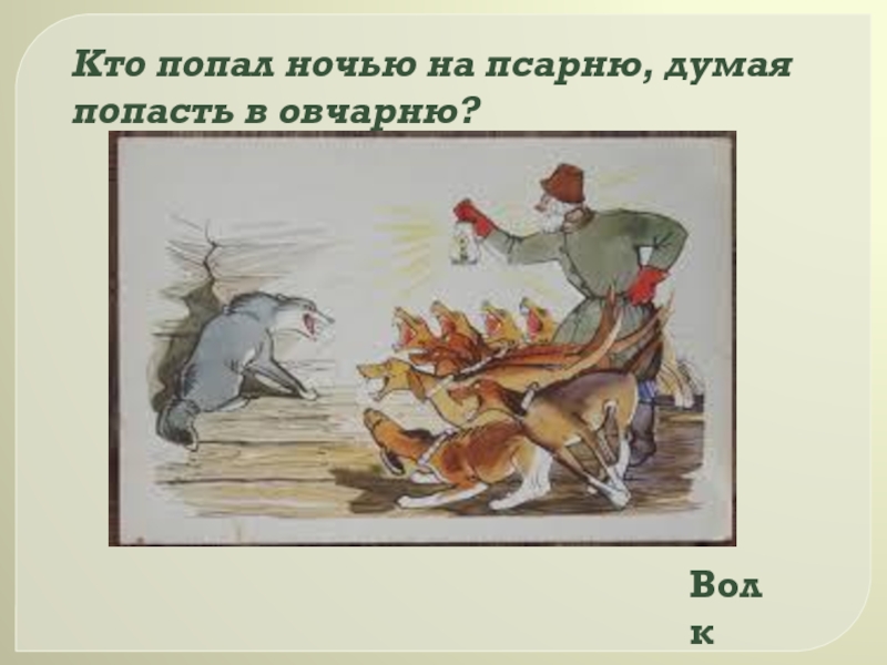 Басня лягушки. Кто попал ночью на псарню думая попасть в овчарню. Басня волк думая попасть в овчарню попал на псарню. Волк думая попасть в овчарню попал на псарню читать. Волк попал на псарню.