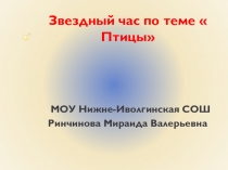 Звездный час по теме  Птицы 7 кл