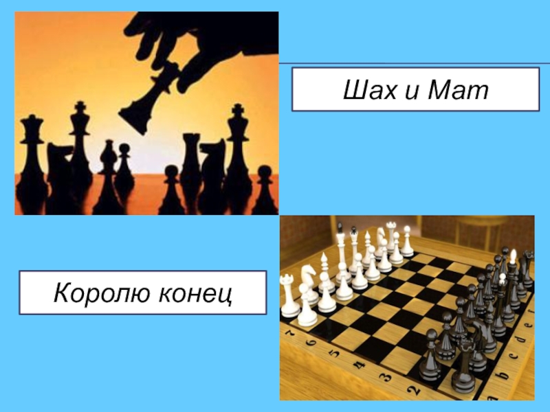 Король делает шах королю. Шах и мат. Шах и мат королю. Шаг и мат. Шах и мат картинки.