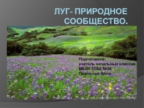 ПРезентация по окружающему миру Луг