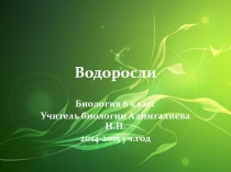Презентация по биологии 6 класс Водоросли