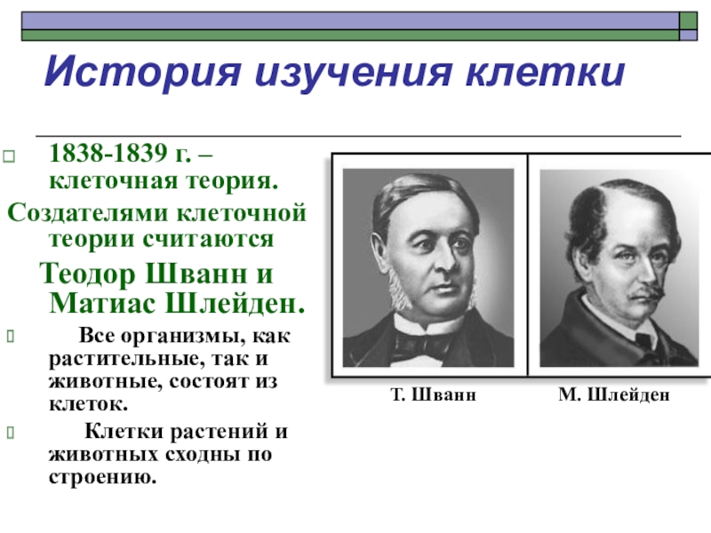 Клеточная теория кто. Теодор Шванн и Матиас Шлейден. Клеточная теория Шванна и Шлейдена 1838-1839. 1838-1839 Шванн Шлейден. Теодор Шванн клеточная теория.