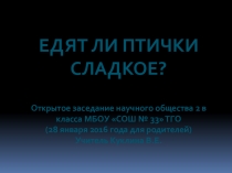 Презентация по внеурочной деятельности на тему Едят ли птицы сладкое