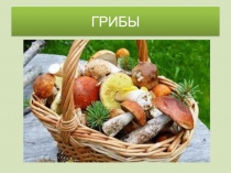 Презентация по окружающему миру на тему Грибы