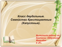 Презентация по биологии на тему Класс Двудольные. Семейство Крестоцветные (6класс)