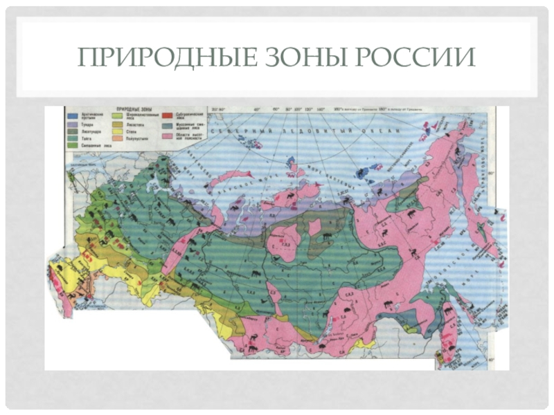 Карта природных зон россии. Карта природных зон Новосибирской области. Самая Северная природная зона России. Природные зоны России 2020. На карте природных зон России две зоны.