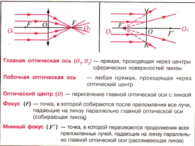 В какой точке находится оптический центр линзы. Фокальная плоскость линзы рисунок. Физика 9 линзы оптическая сила линзы. Главная оптическая ось линзы. Схема параметров оптической линзы.