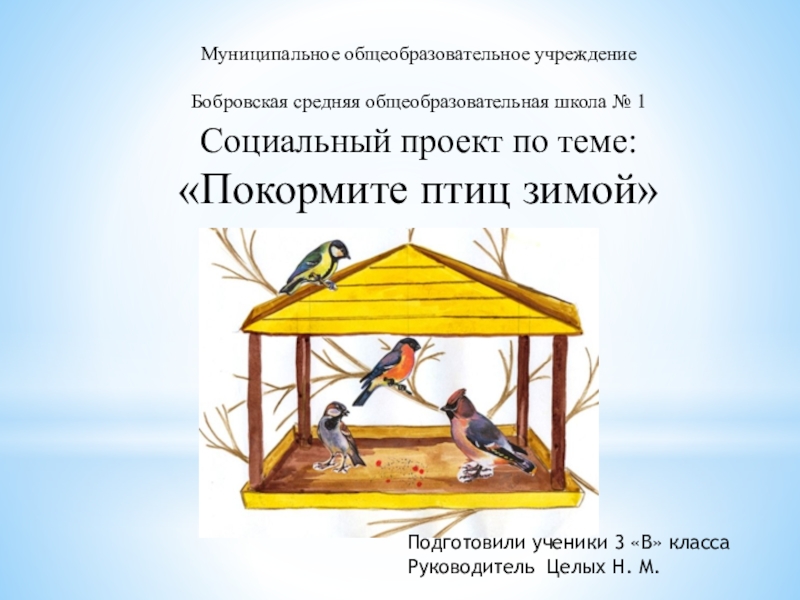 Презентация Презентация к социальному проекту Покорми птиц зимой