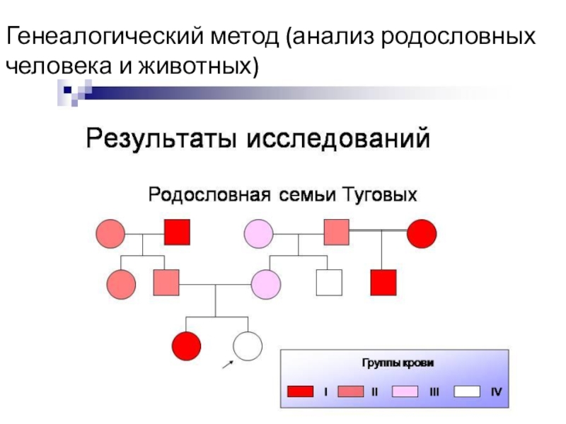 Метод родословных