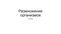 Презентация Размножение организмов 9 класс