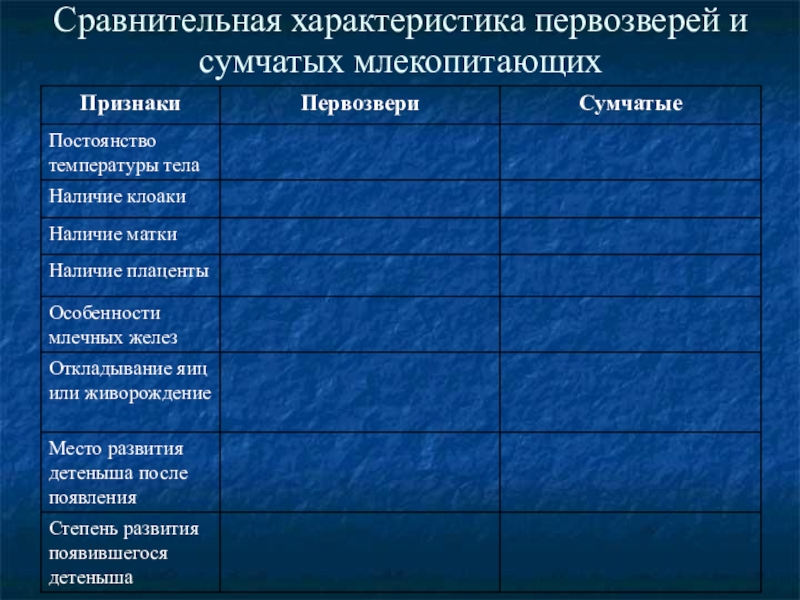 Первозвери и сумчатые презентация