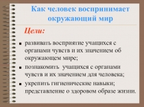 Презентация по окружающему миру на тему Как человек воспринимает окружающий мир? (4 класс)