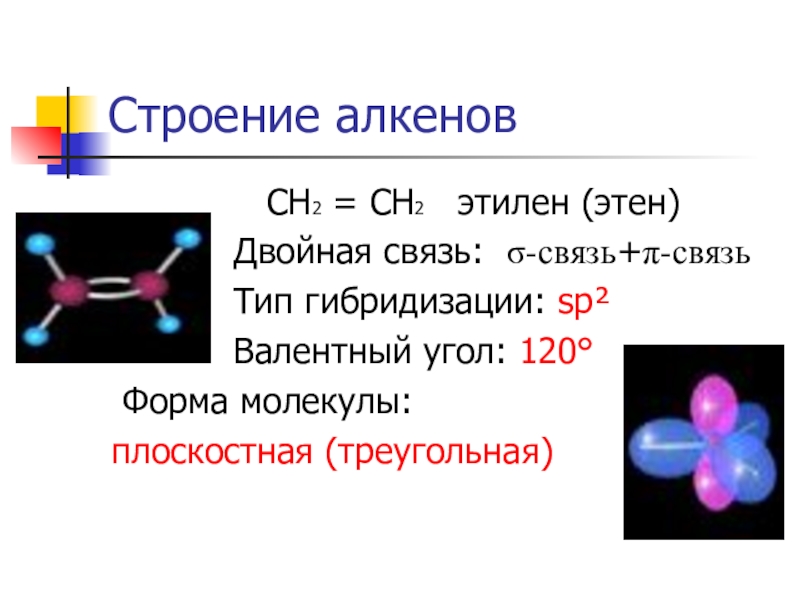 Проект на тему алкены