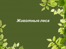 Презентация Загадки о животных