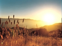 Презентация к внеклассному мероприятию Великая Отечественная Война