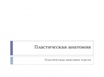 Презентация по художественным дисциплинам на тему Пластическая анатомия черепа