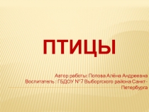 Презентация Птицы 2-3 лет