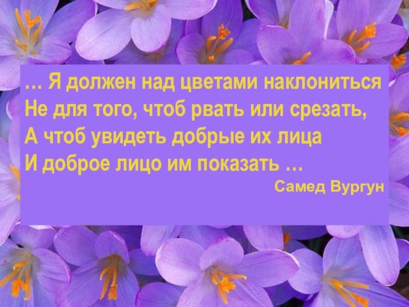 Песня какой хороший день чтоб подарить цветок. Наклонился над цветком. Я должен над цветами наклониться. Должны мы над цветами наклониться. Я должен над цветами наклониться не для того чтоб рвать.