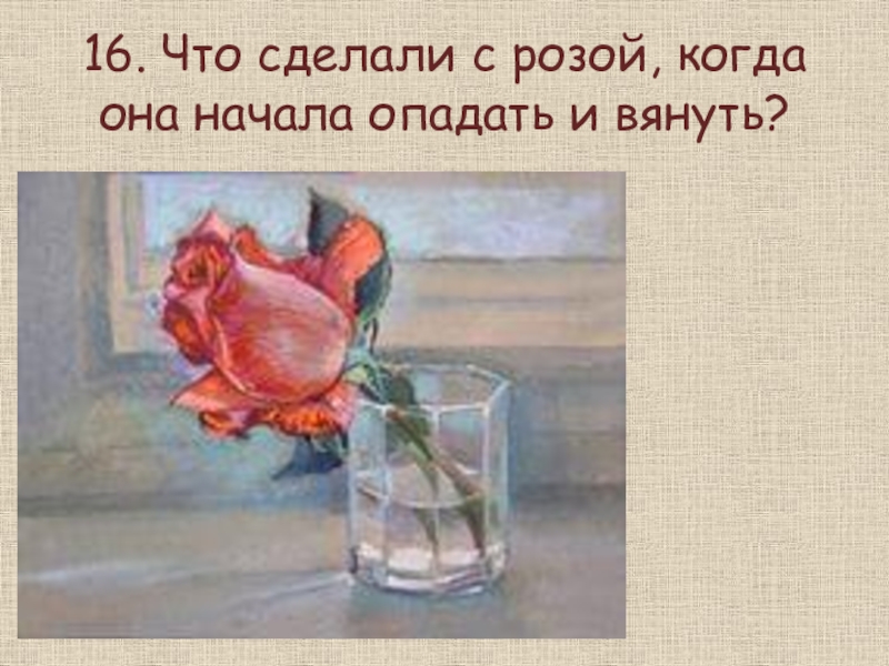 Гаршин сказка о розе. Сказка о Розе. Отрывок из сказки жаба и роза. Произведения Гаршина для детей. Картинка розы как в сказках.