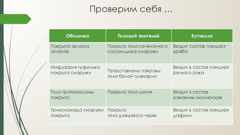 Презентация опорно двигательная система животных биология 7 класс