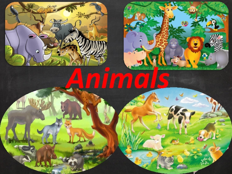 Презентация Презентация по английскому языку для 2 класса на тему Animals