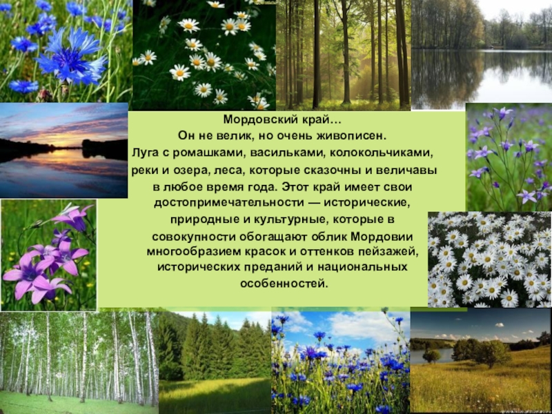 Природа родного края презентация