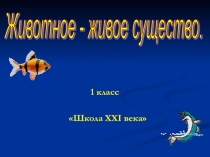 Животное - живое существо