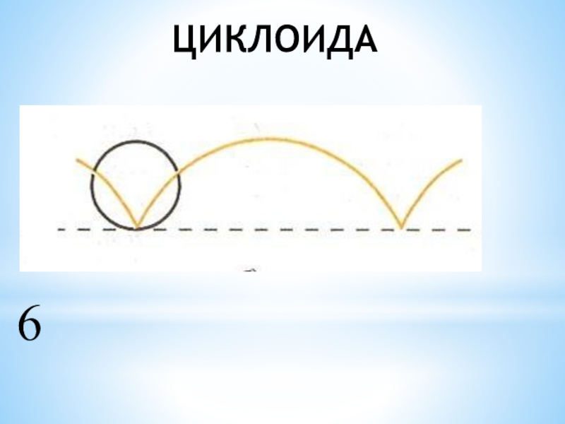 Циклоида. Циклоида в природе. Циклоида в жизни. Загадки циклоиды.