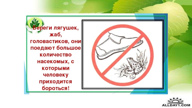 ПРЕЗЕНТАЦИЯ К КЛАССНОМУ ЧАСУ 1 КЛАСС НА ТЕМУ ПРИРОДА И МЫ