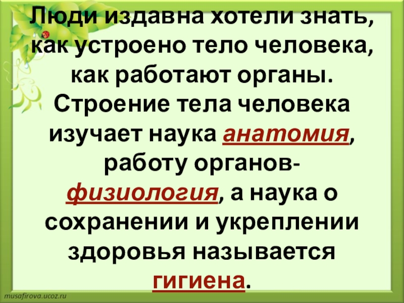 Работу органов человека изучает