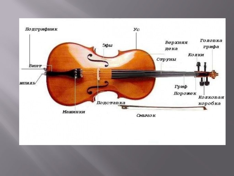 Виолончель презентация 3 класс